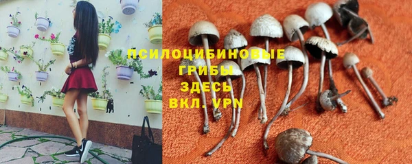 МДПВ Абдулино