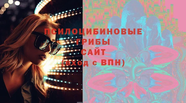 МДПВ Абдулино